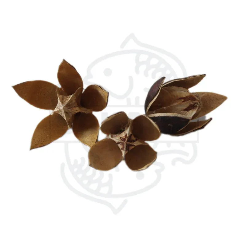 Wild Flowers 3-Stück Markenprodukt