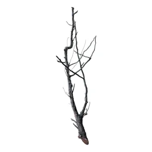 Saisonangebot Shadow Wood Nr.798