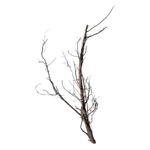 Top-Angebot Shadow Wood Nr.803