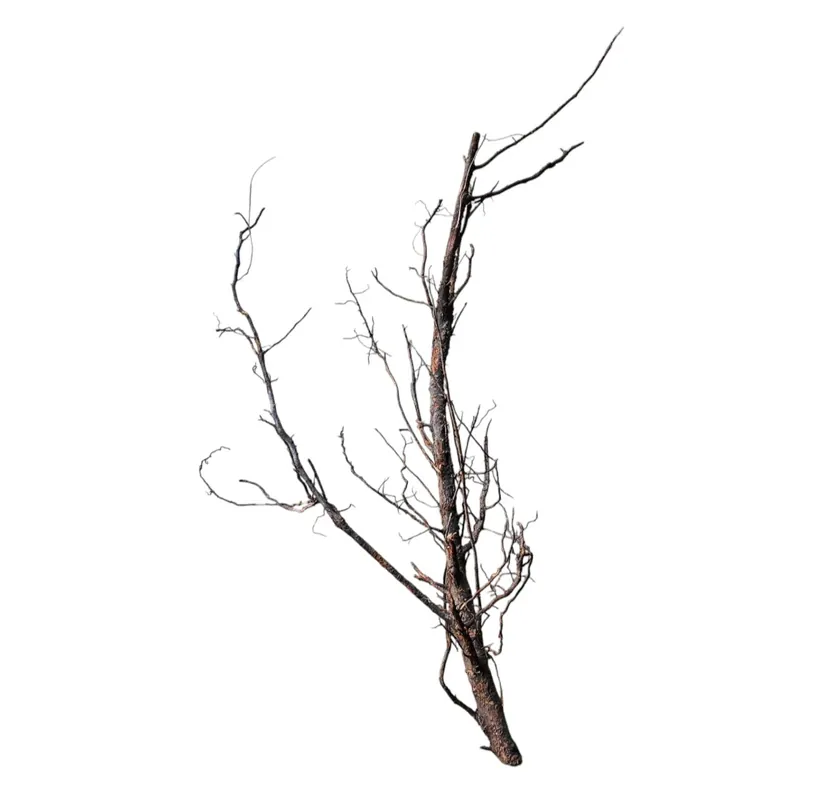 Top-Angebot Shadow Wood Nr.803