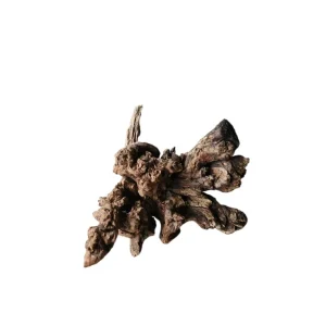 Abverkauf Coral Sinker Wood Nr. 887