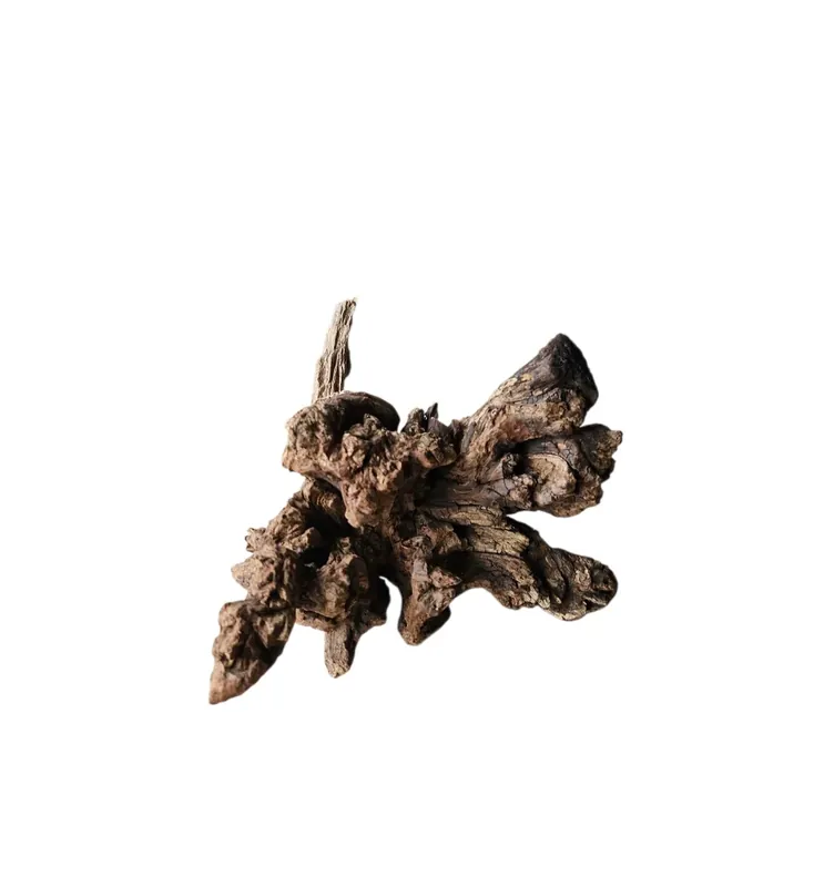 Abverkauf Coral Sinker Wood Nr. 887