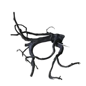 Schwarze Moorwurzel M (25-30 cm) Nr. 263 Begrenztes Angebot