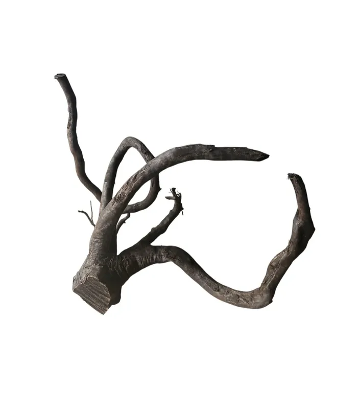 Zertifiziert Schwarze Moorwurzel L (40-45 cm) Nr.930