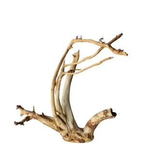 Sonderangebot Rainforest Moorwurzel Wurzel 954