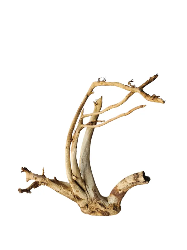 Sonderangebot Rainforest Moorwurzel Wurzel 954