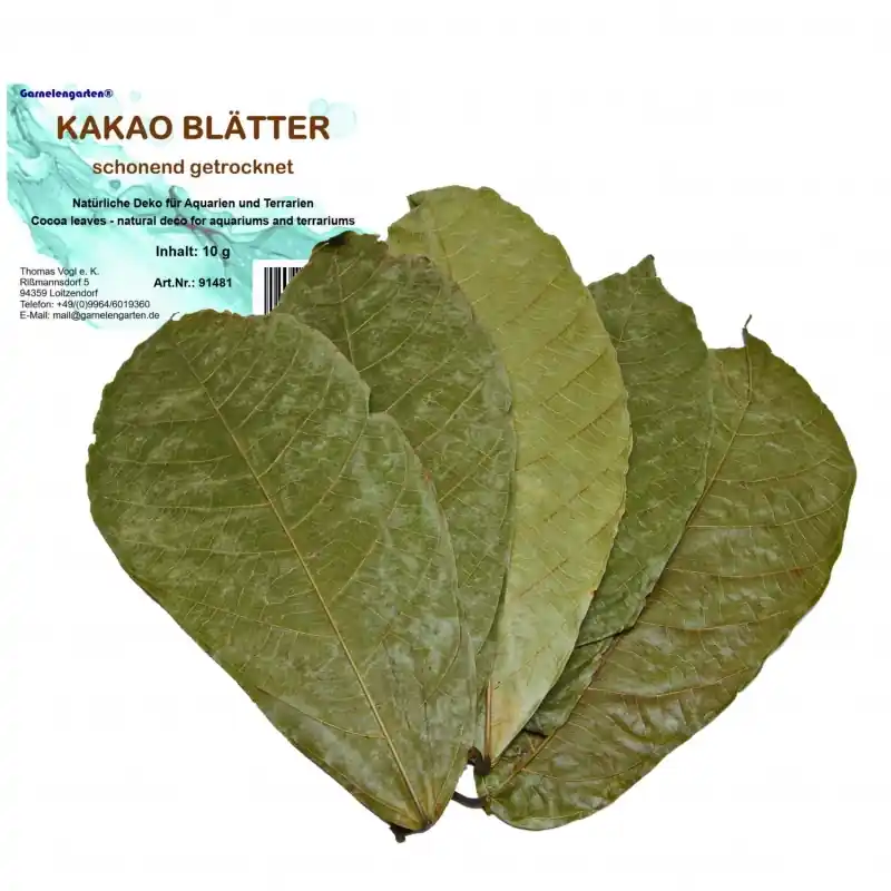 Kakao Blätter 10 g Garantierte Lieferung