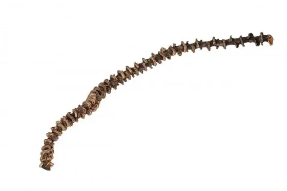 Bananen Stiel natur ca. 25-35cm Bestseller