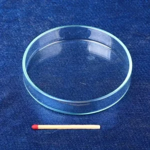 Glas Futterschüssel Ø 73mm, Randhöhe 14mm Billig