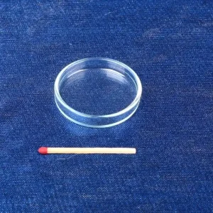 Nur Für Kurze Zeit Glas Futterschüssel Ø 40mm, Randhöhe 6mm