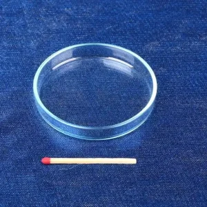Glas Futterschüssel Ø 60mm, Randhöhe 8mm Versand Am Gleichen Tag