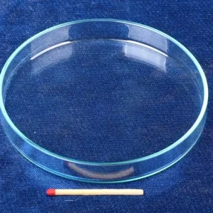 Glas Futterschüssel Ø 100mm, Randhöhe 14mm Mega-Angebot