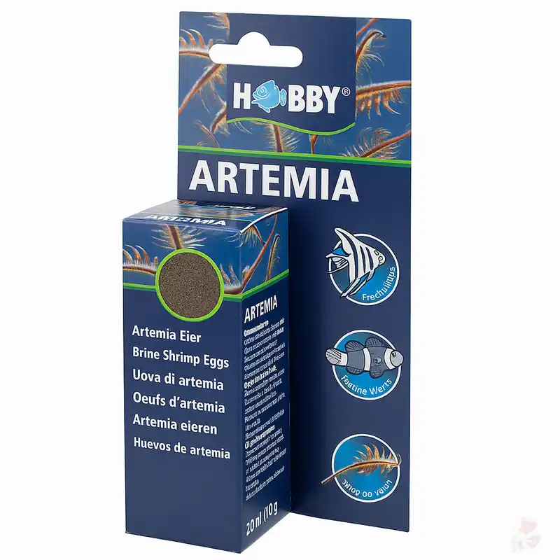 Direkt Vom Hersteller Hobby Artemia Eier | Artemia-Zysten zur Lebendfutter-Aufzucht, 20ml