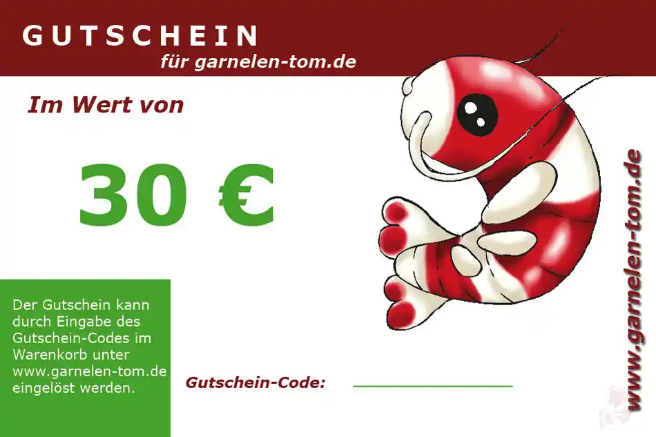 Markenprodukt Gutschein 30 Euro