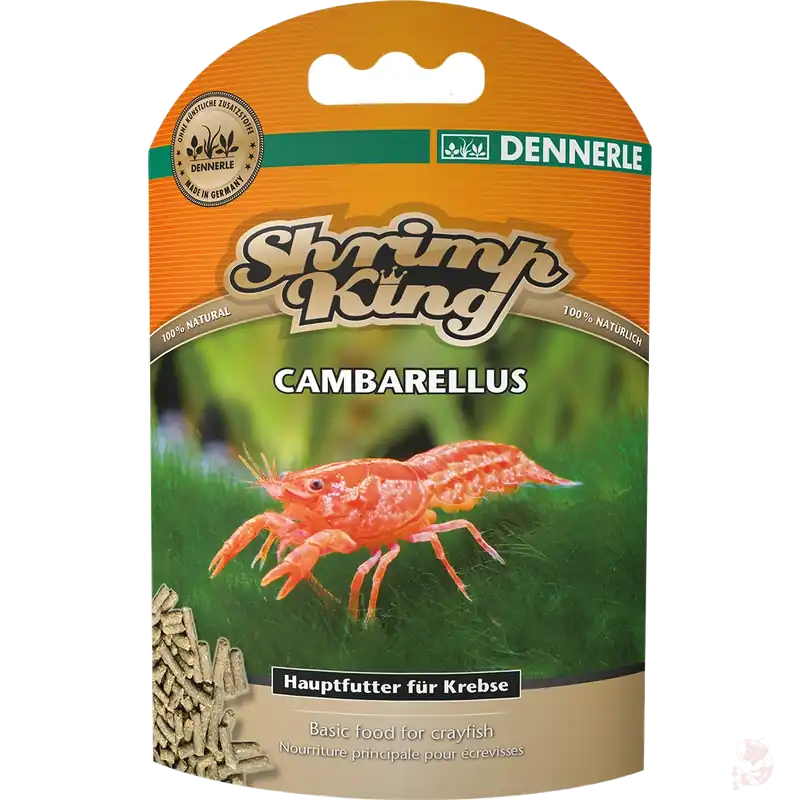 Expressversand DennerleShrimp King Cambarellus, 45 g