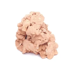 Garnelenfelsen terracotta Preis Gesenkt