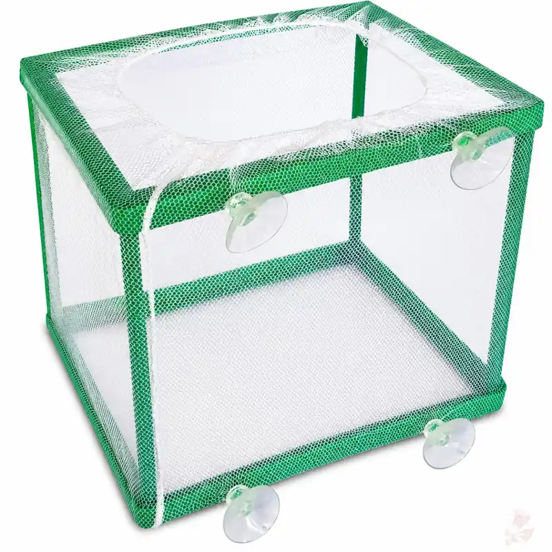 Solange Der Vorrat Reicht Aufzuchtbox / Net Breeding Box | Netz-Aufzuchtbox für Garnelenzucht & Jungtiere Größe-S