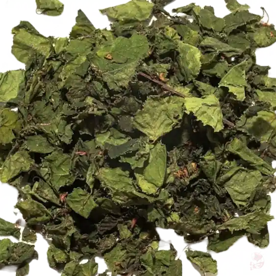 Nano Birken-Laubblätter (grün), 20 Stk. | Naturfutter für Garnelen Top-Angebot