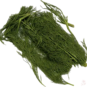 Fenchelkraut für Garnelen | Unterstützung mit antibakteriellen Eigenschaften | 10 g Direktkauf