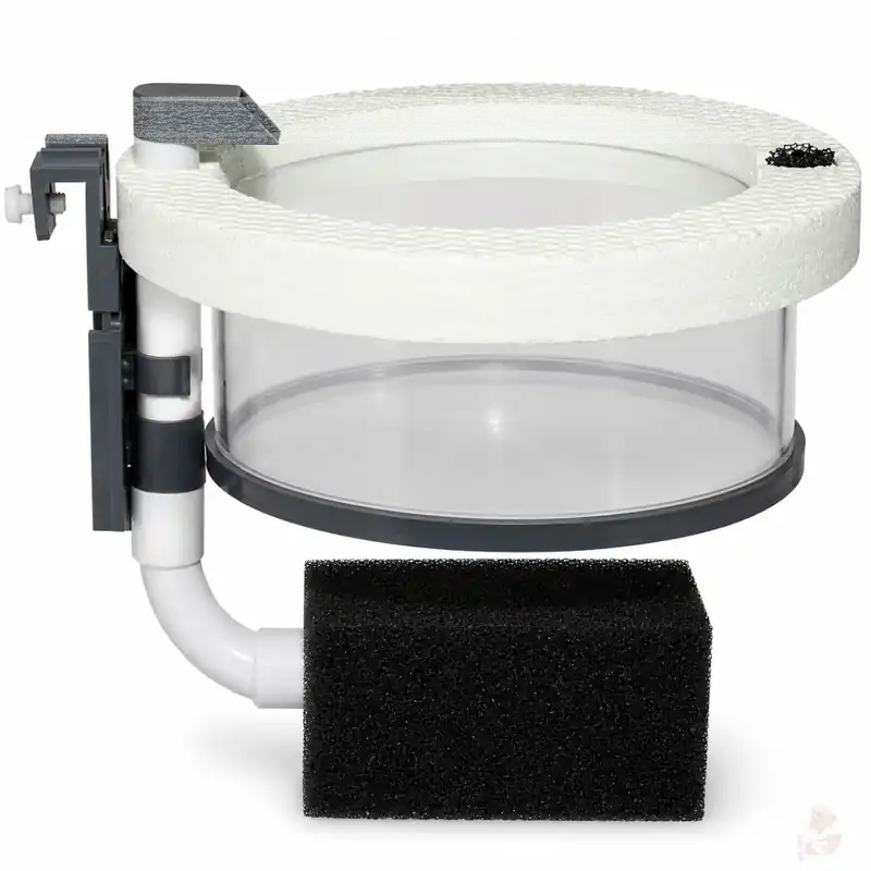 Aufzuchtring / Breedingbox mit Luftheber Ø 150 mm | Größere Aufzuchtbox für Babygarnelen 100 mm Jetzt Kaufen