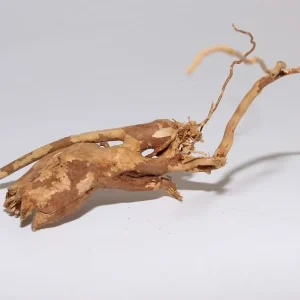 Moorkien Fingerwurzel #828 - "Amoebius" 19x12x15 cm (LxBxH) Heißes Angebot