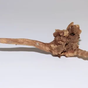 Moorkien Fingerwurzel #559 - "Pinocchios Nose" 16x13x5 cm (LxBxH) Beliebt