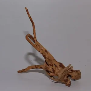 Moorkien Fingerwurzel #840 - "Geschickt eingefädelt" 19x15x19 cm (LxBxH) Kracherpreis