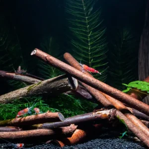 Preiswert Deko-Zweige (verschiedene Sorten) | Natürliche Aquariendekoration Weidenzweige. 8 Stück