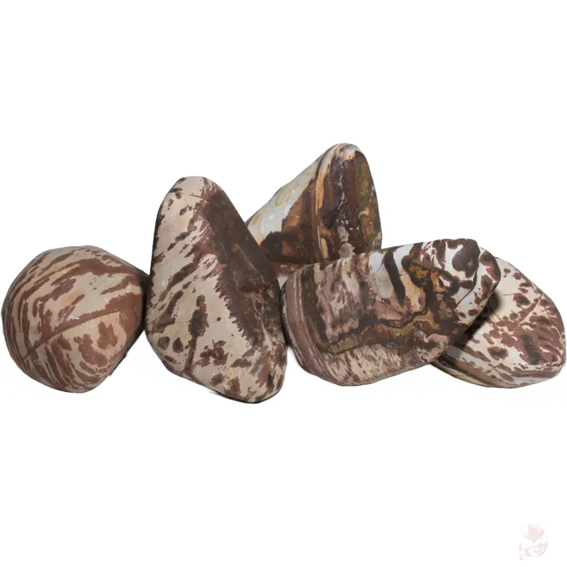 Shodo Stein / Shodo Rock, Small, 1 Stück (10 - 15 cm) Preisreduziert