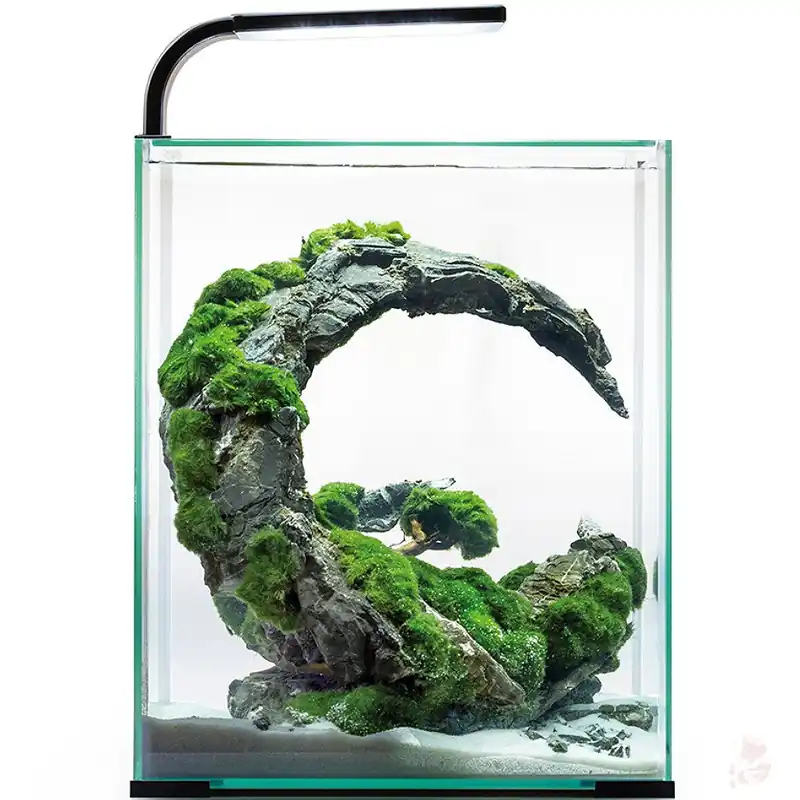 Aquael Shrimp Set Day & Night 10 schwarz - 20x20x25 cm, 10 Liter Weiß Begrenztes Angebot