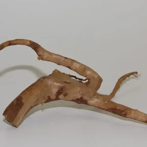 Preis Gesenkt Moorkien Fingerwurzel #1488 - "Spreizchen" 28x24x12 cm (LxBxH)