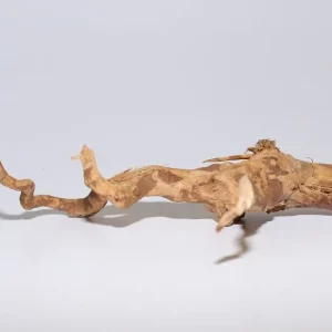 Moorkien Fingerwurzel #1854 - " Arbok " 24x14x7 cm (LxBxH) Preisreduziert