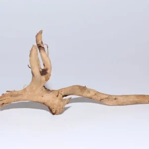 Moorkien Fingerwurzel #1862 - " Maschock " 23x9x9 cm (LxBxH) Super-Preis