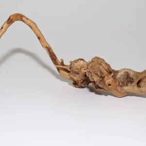 Moorkien Fingerwurzel #1869 - " Seemon " 23x7x9 cm (LxBxH) Jetzt Bestellen