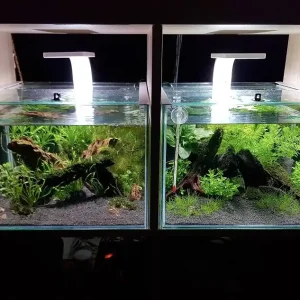 GT Aquarium 27,5 Liter für Kallax-Regal, verschiedene Ausführungen nur Aquarium Geprüft
