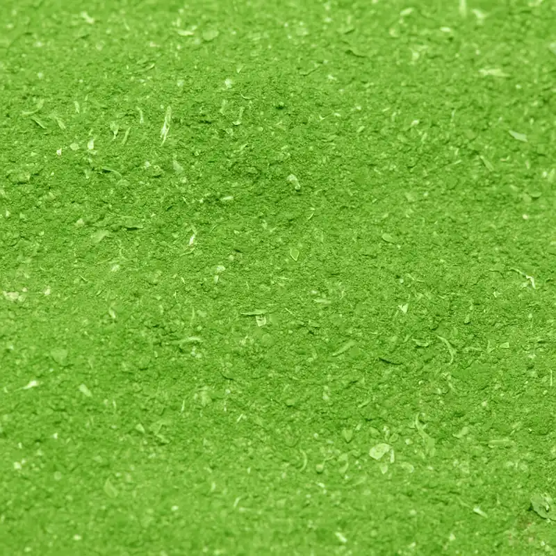 GT Pfefferminze Puder, 35 g | Aromatisches Aufzuchtfutter 35 g Saisonangebot