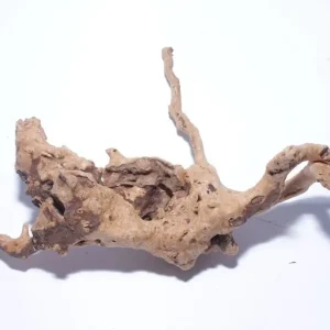 Moorkien Fingerwurzel #2063 - 16x6x12 cm (LxBxH) Preis Gesenkt
