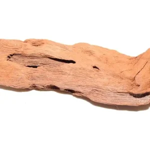 Jungle Wood #1604 - 23x7x5 cm (LxBxH) Saisonangebot