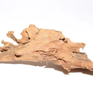 Jungle Wood - "Jabba" 23x8x7 cm (LxBxH) #1893 Must-Have