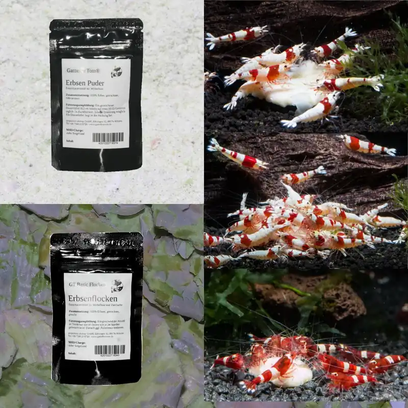Aktuell Futterset Erbsen Flocken und Puder 25 g GT Erbsen Flocken