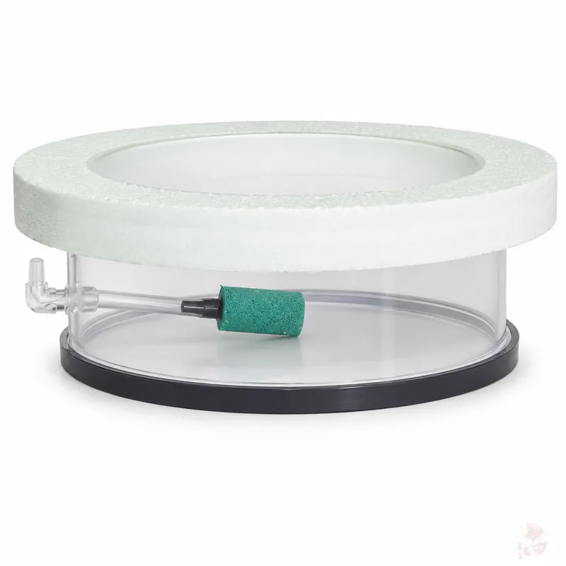 Aufzuchtring / Breedingbox quadratisch mit Luftheber 100 mm | Kompakte Aufzuchtbox für Babygarnelen 100 mm Echt