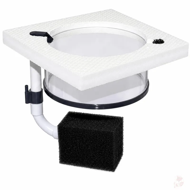 Schneller Versand Aufzuchtring / Breedingbox quadratisch mit Luftheber 150 mm | Größere Aufzuchtbox für Babygarnelen 100 mm