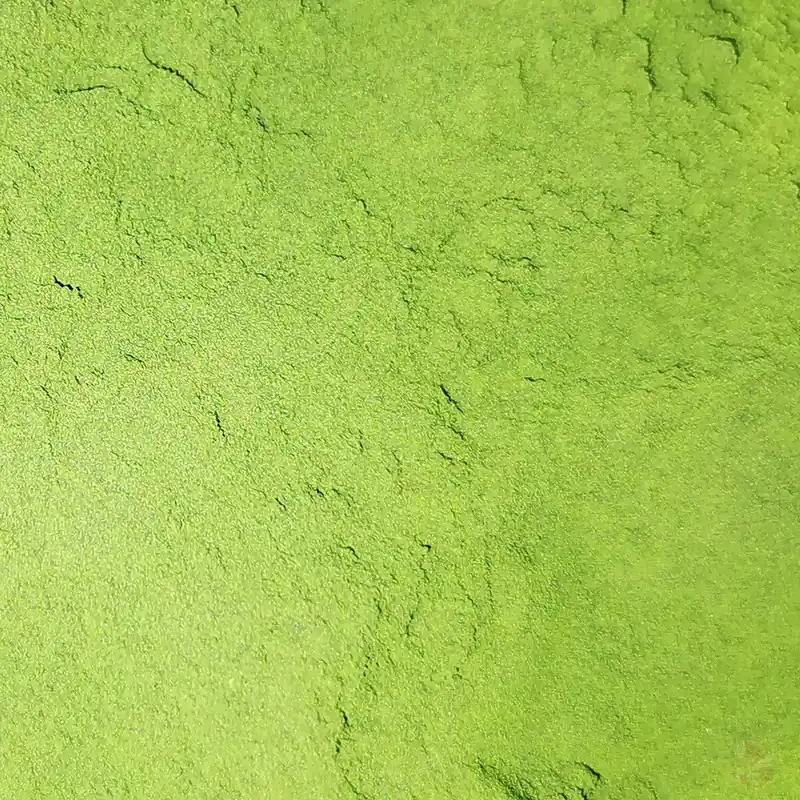Chlorella vulgaris - Akzeptanzbooster für Garnelen Lollies Futterbrei, 30 g 30 g Sale