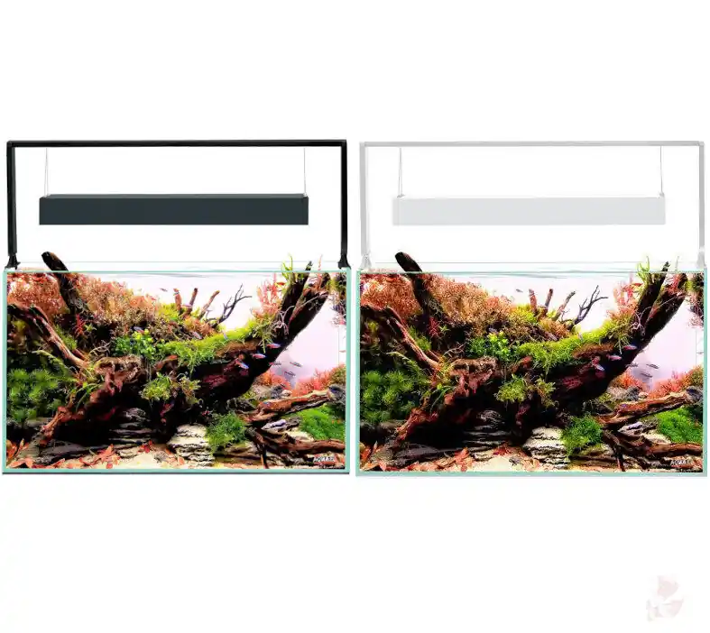 Aquael UltraScape 60 Weißglas Aquarium | 64 l Aquascaping-Aquarium mit LED-Beleuchtung forest (schwarz) Meistverkauft