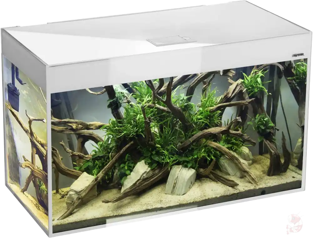 Aquael Aquarienset Glossy 100 Day & Night weiß | 215 l Aquarium mit LED Glossy 80 weiß - 125 L - 80 x 35 x 54 cm Saisonangebot