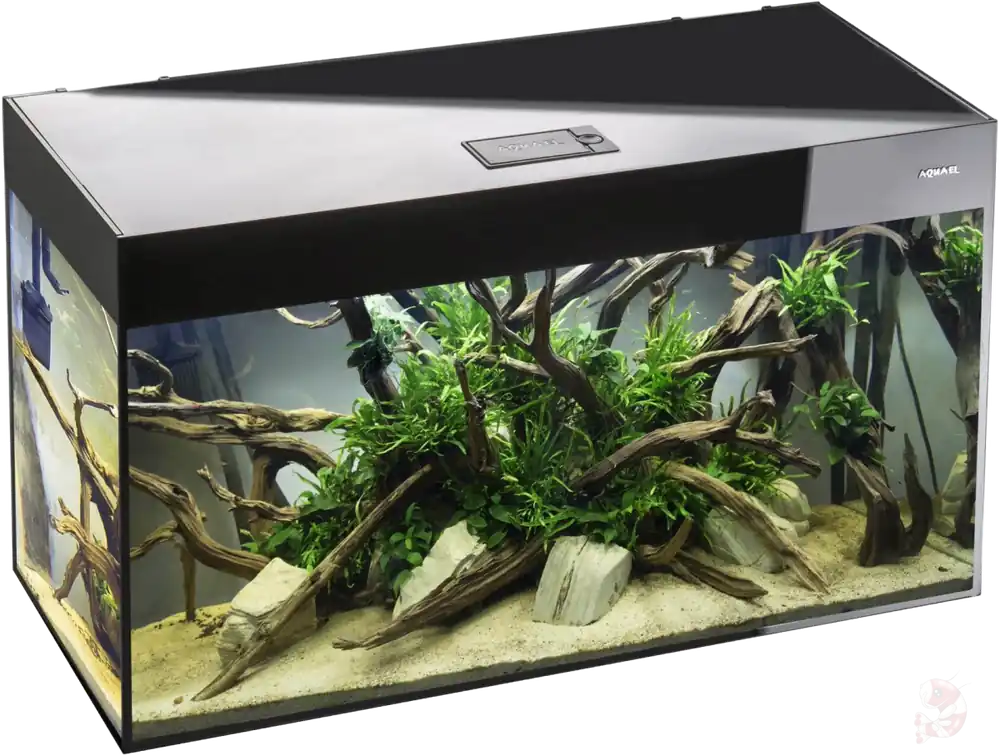 Aquael Aquarienset Glossy 100 Day & Night schwarz | 215 l Aquarium mit LED Glossy 80 schwarz - 125 L - 80 x 35 x 54 cm Neu Im Sortiment