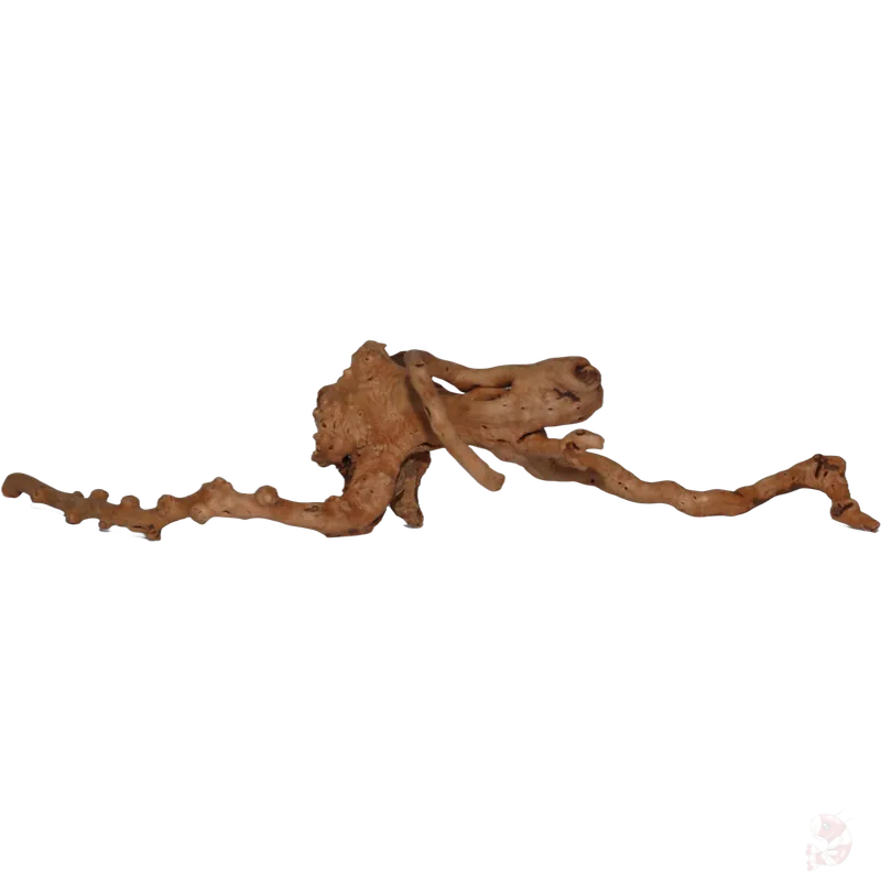 Moorkien Fingerwurzel - "Nicly" 27x14x6 (LxBxH) Geprüft
