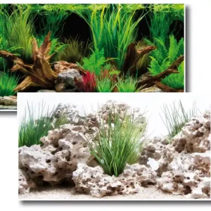 Fotorückwand Wonder beidseitig bedruckt 120x60cm 2in1 Rückwandposter Wochenendangebot