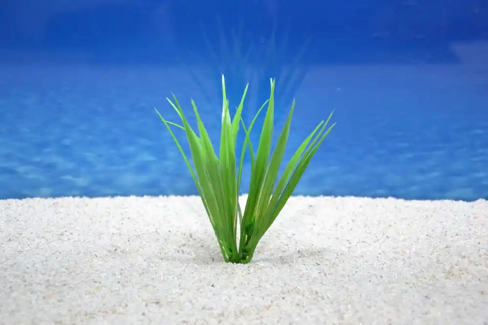 Angebot Amtra Bamboo S 12cm – Künstliche Bambus-Pflanze für Aquarien-Dekoration