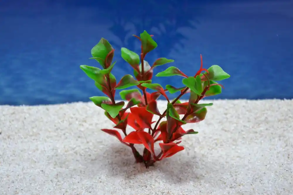 Neue Kollektion Amtra Ludwigia S 12 cm – Künstliche Pflanzendeko Aquarium